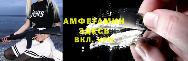 мет Алексин