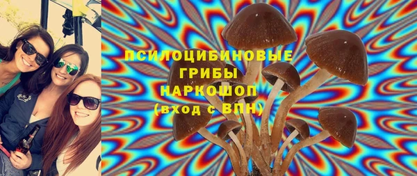 мет Алексин